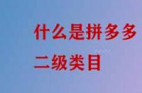 什么是拼多多二級類目？