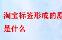 怎樣得到精準(zhǔn)流量？淘寶標(biāo)簽形成的原因是什么？