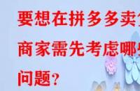 要想在拼多多賣(mài)貨商家需先考慮哪些問(wèn)題？