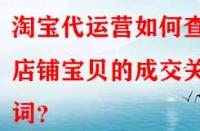 淘寶代運營如何查看店鋪寶貝的成交關鍵詞？