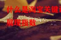 什么是淘寶關鍵詞展現(xiàn)指數(shù)？它的作用是什么？