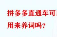 拼多多直通車可以用來養(yǎng)詞嗎？