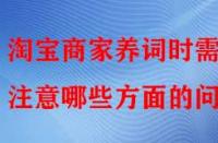 淘寶商家養詞時需注意哪些方面的問題？
