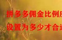 拼多多傭金比例應設置為多少才合適？